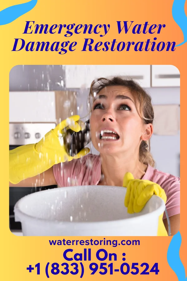 Emergency Water Damage Restoration in Harwood Heights, IL